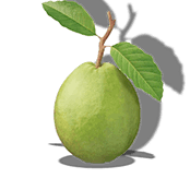 Guava System Icon